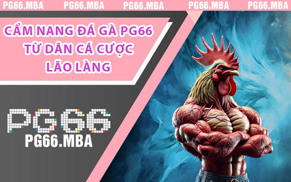 Cẩm Nang Đá Gà PG66 Từ Dân Cá Cược Lão Làng