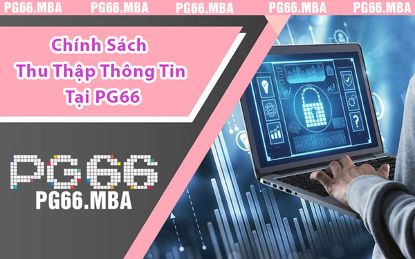 Chính Sách Thu Thập Thông Tin Tại PG66