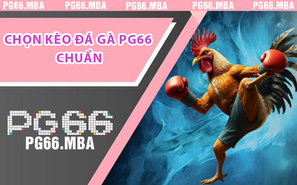 Chọn Kèo Đá Gà PG66 Chuẩn