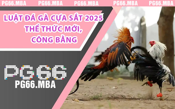 Luật Đá Gà Cựa Sắt 2025 Thể Thức Mới, Công Bằng