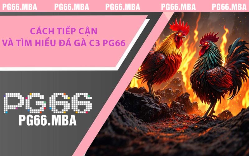 Cách Tiếp Cận Và Tìm Hiểu Đá Gà C3 PG66