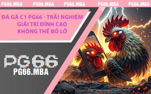 Đá Gà C1 PG66 - Trải Nghiệm Giải Trí Đỉnh Cao Không Thể Bỏ Lỡ