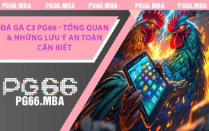 Đá Gà C3 PG66 - Tổng Quan & Những Lưu Ý An Toàn Cần Biết