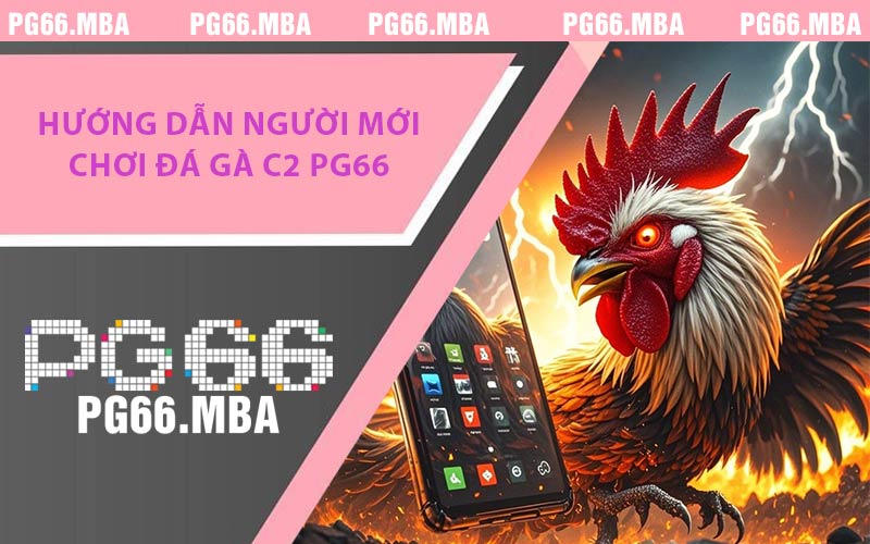 Hướng Dẫn Người Mới Chơi Đá Gà C2 PG66