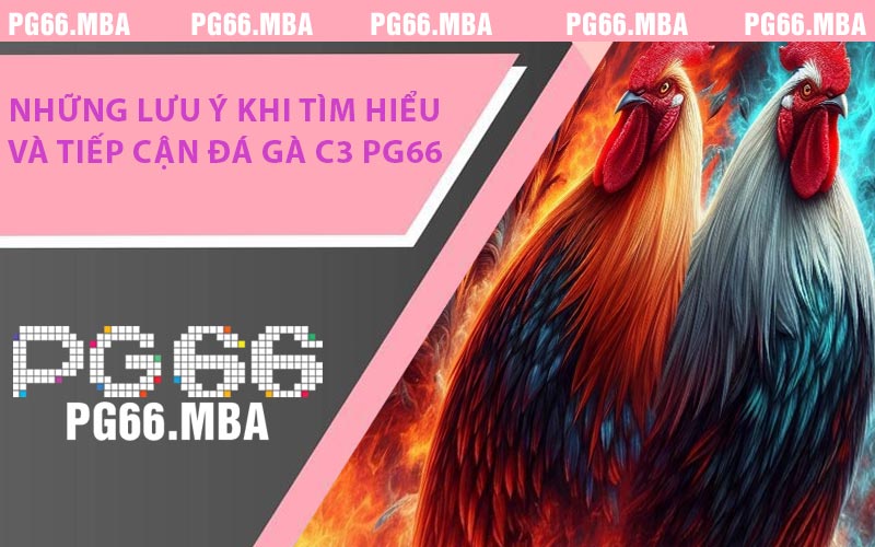 Những Lưu Ý Khi Tìm Hiểu Và Tiếp Cận Đá Gà C3 PG66