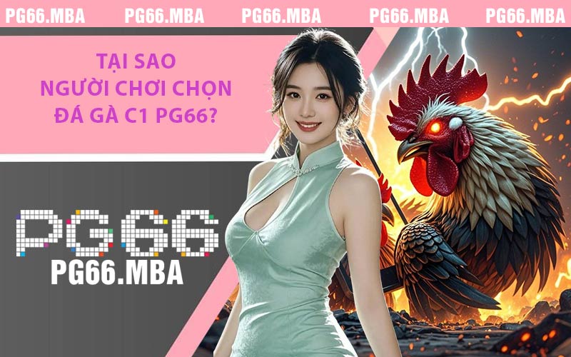 Tại Sao Người Chơi Chọn Đá Gà C1 PG66?