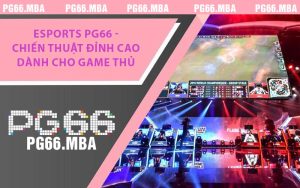 Esports PG66 - Chiến Thuật Đỉnh Cao Dành Cho Game Thủ