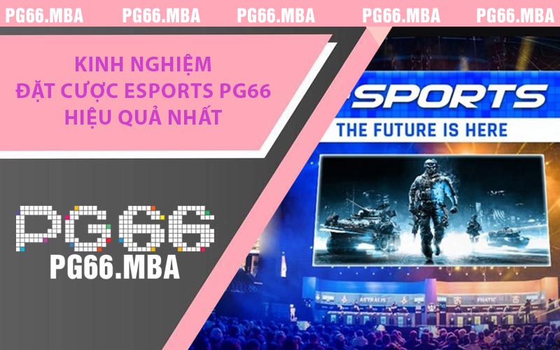 Kinh Nghiệm Đặt Cược Esports PG66 Hiệu Quả Nhất